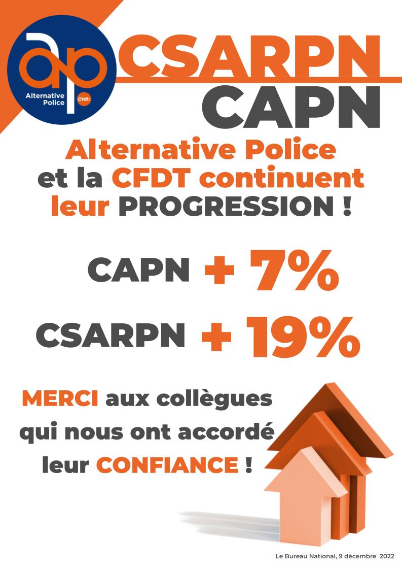 Élections Professionnelles 2022 : CSARPN et CAPN